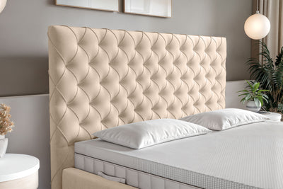 Di-Lara® Xenia Polsterbett mit Stauraum